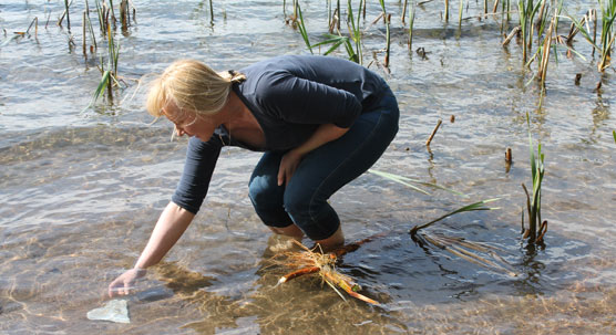 Littoistenjärvi